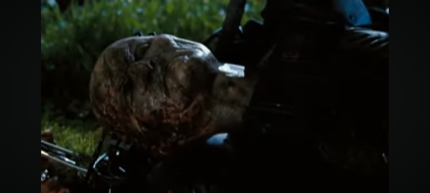 DVD : le retour des morts vivants