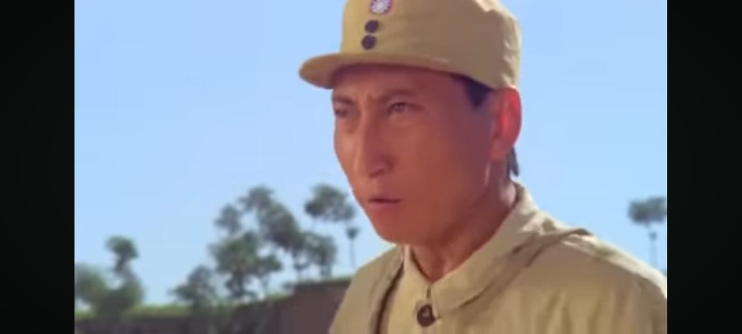 DVD : jet li born to defense en