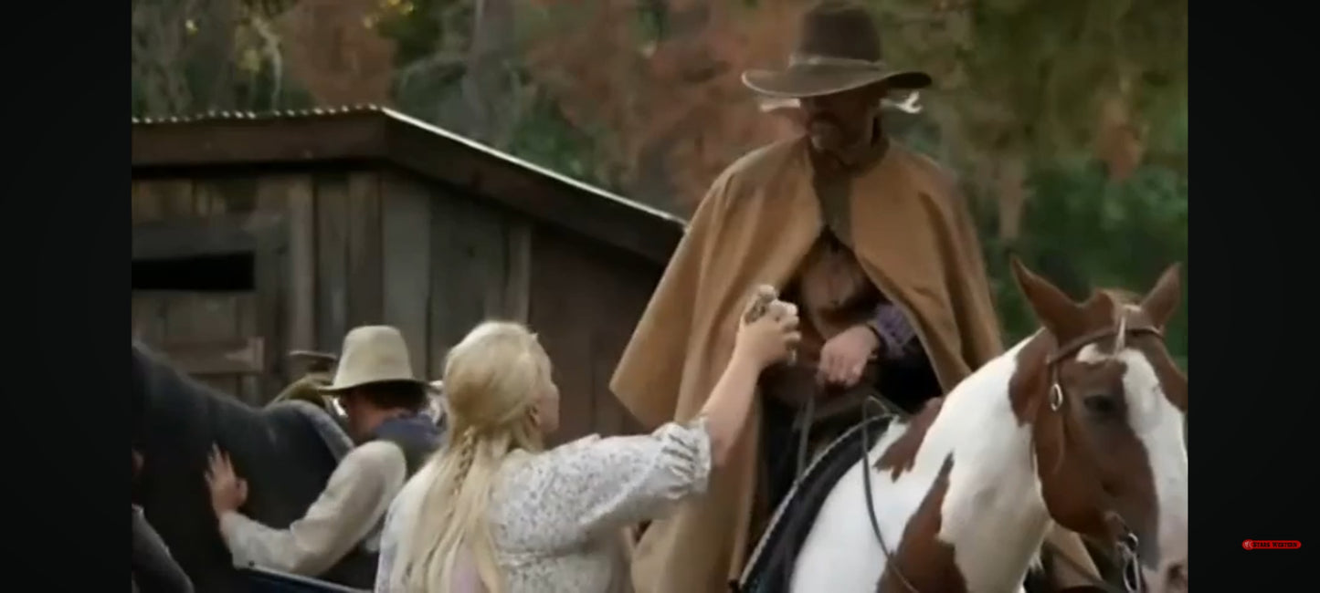 DVD : la traque sauvage - americain en action western