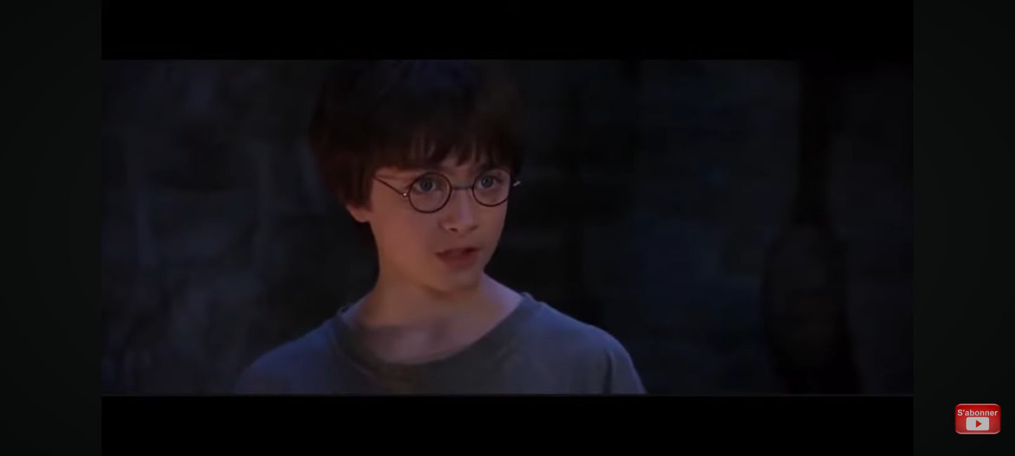 DVD : harry potter à l'école des sorciers en