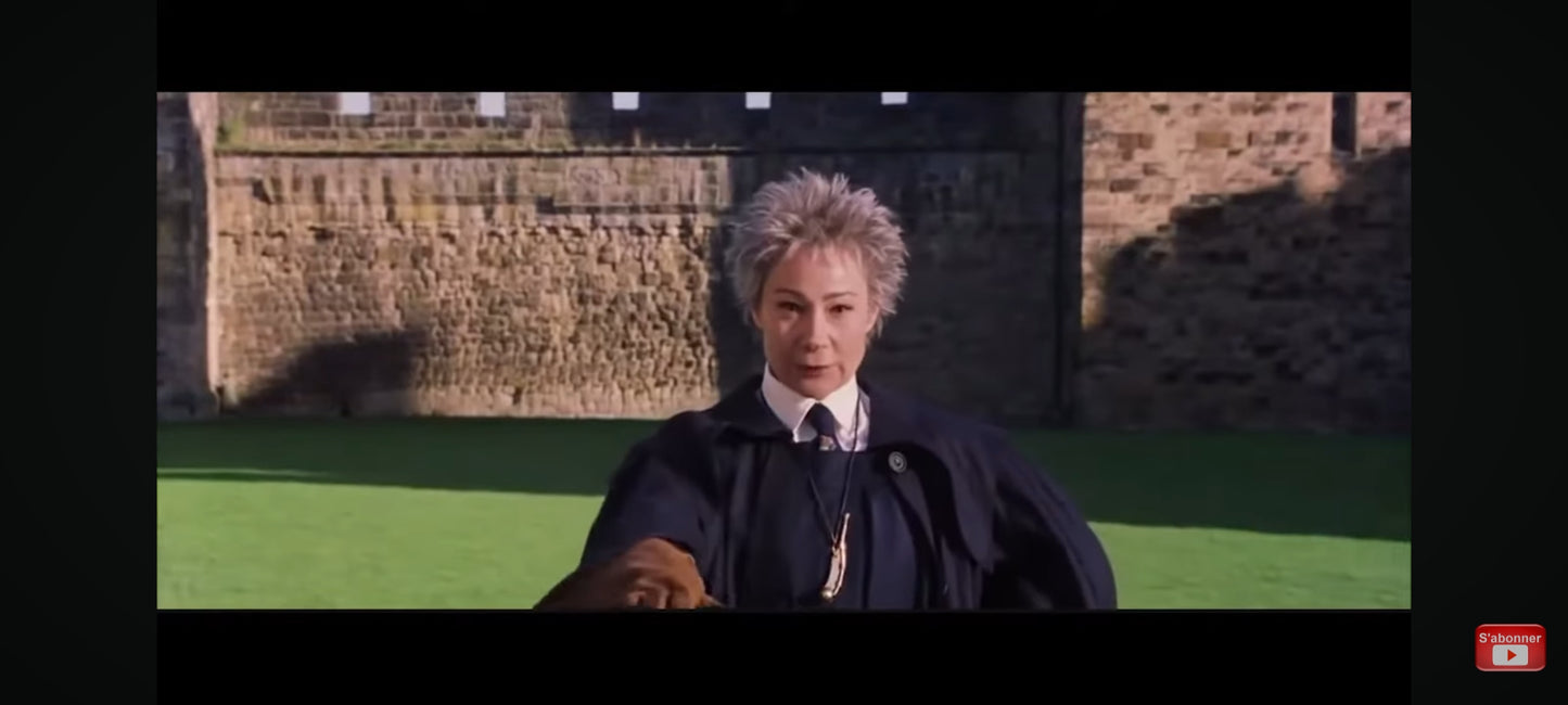 DVD : harry potter à l'école des sorciers en