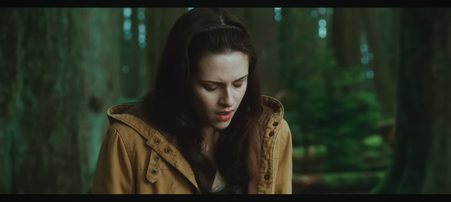 DVD : the twilight saga new moon