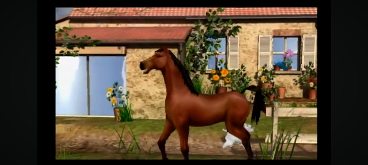 Jeu vidéo PC : Real stories vétérinaire jeu PC