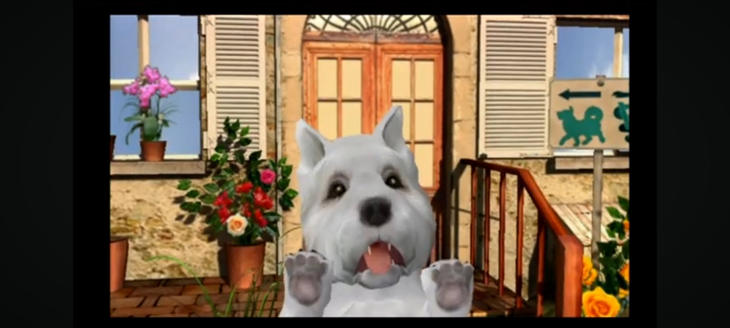 Jeu vidéo PC : Real stories vétérinaire jeu PC