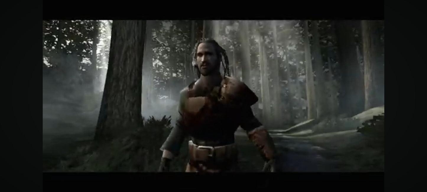 Jeu vidéo PC : forgotten realms Démon stone jeu PC