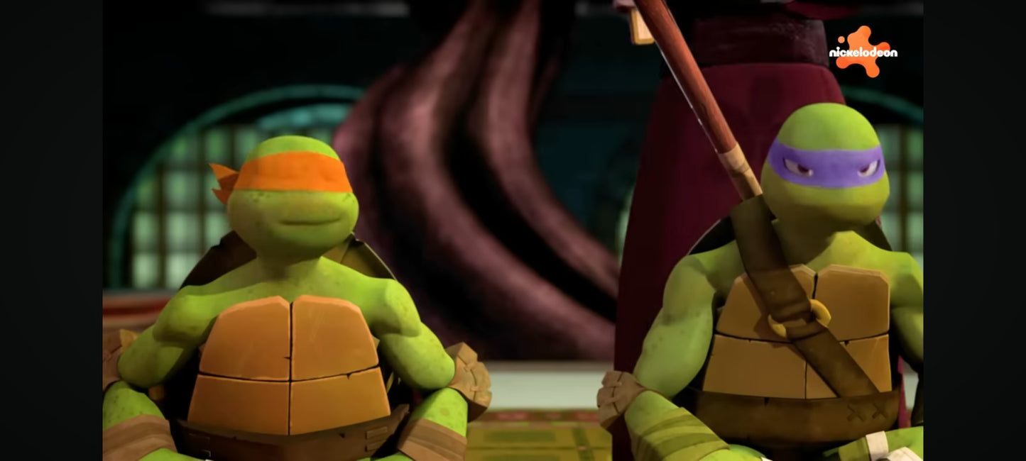 DVD : tortue ninja