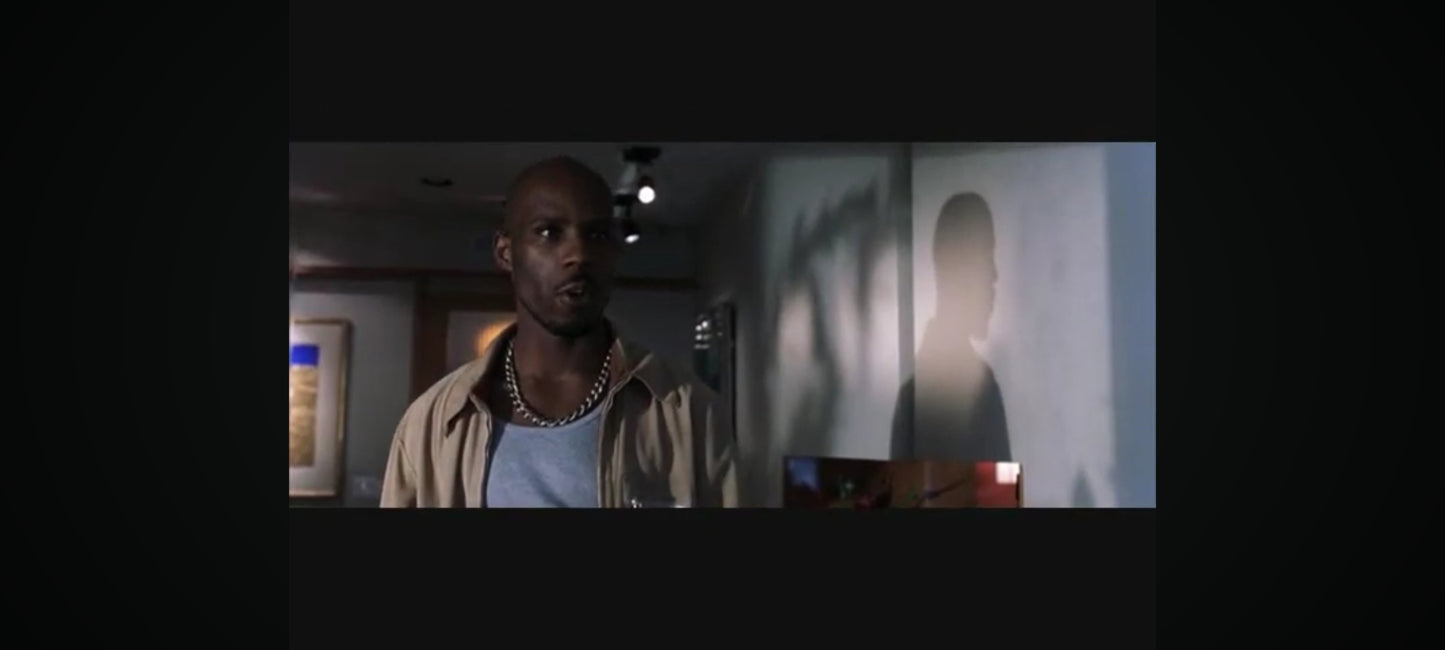 DVD : jet li/ dmx en sursis en