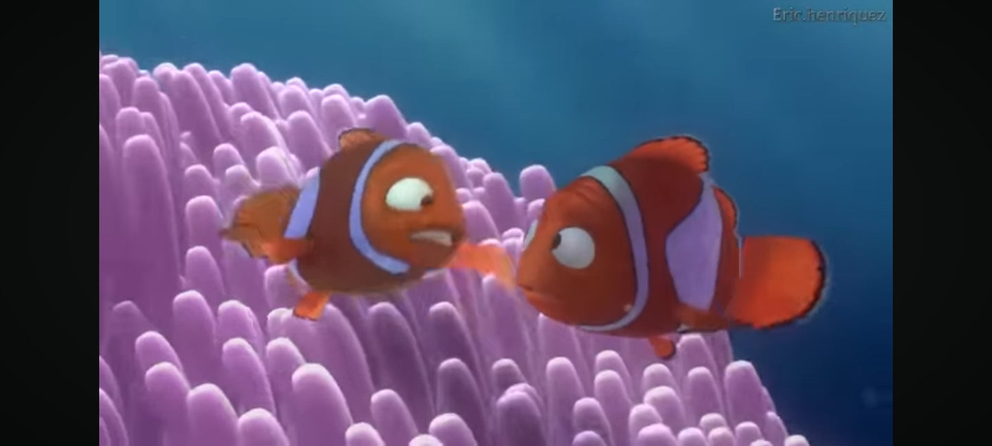 DVD : le monde de nemo en