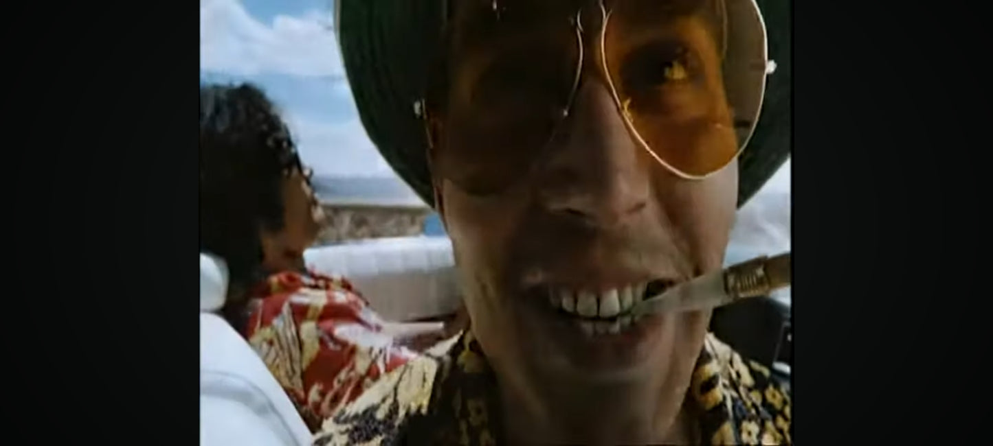 DVD : las vegas parano en