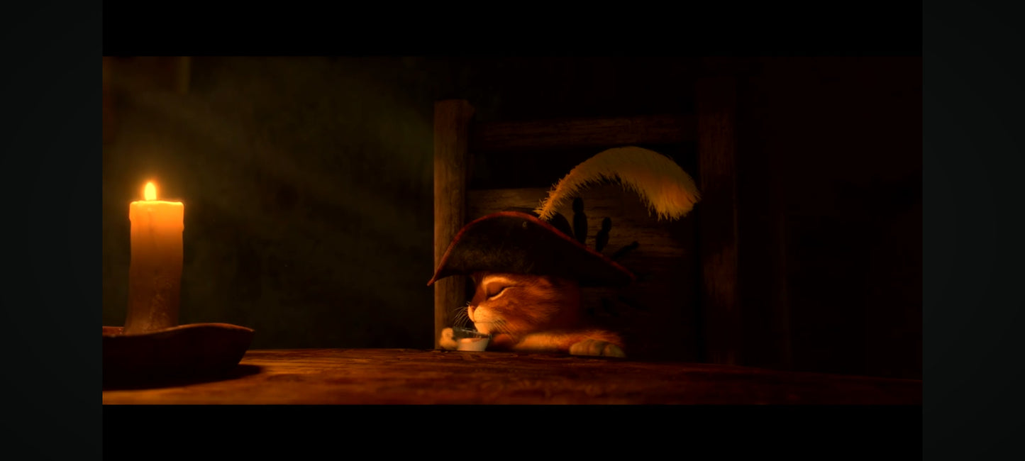 DVD : le chat potté en