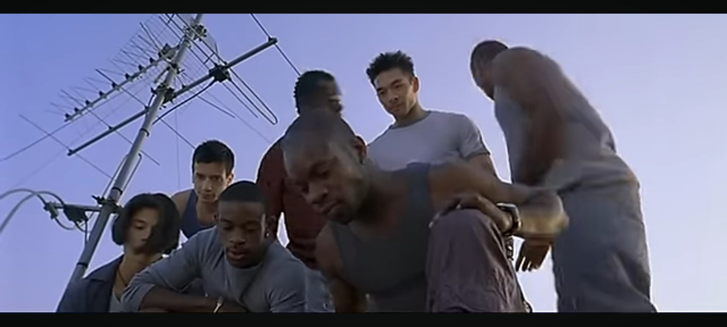 DVD : yamakasi les samouraïs des temps modernes en