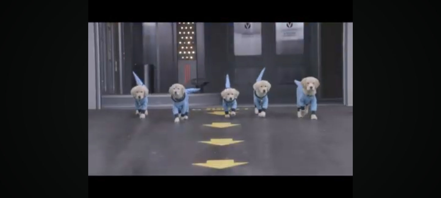 DVD : les copains dans l'espace