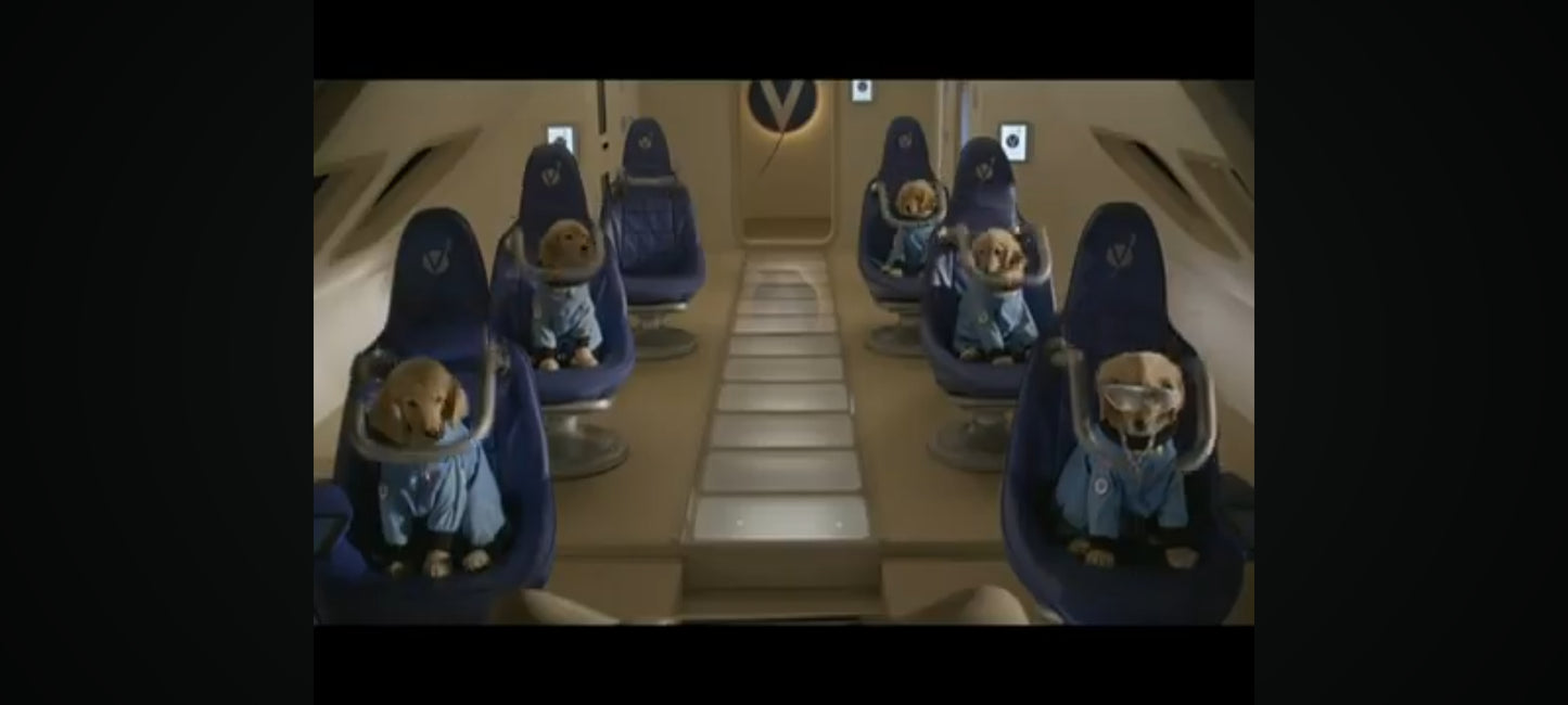 DVD : les copains dans l'espace