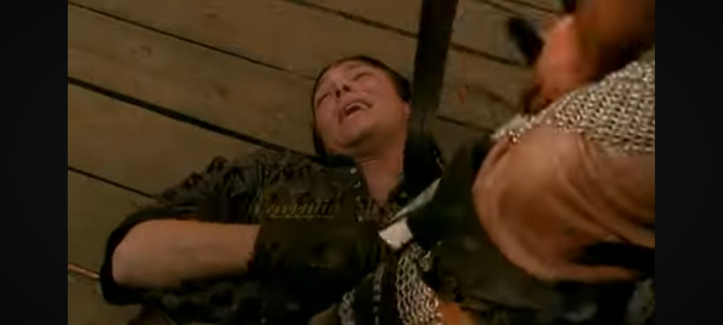 DVD : le sang des vikings