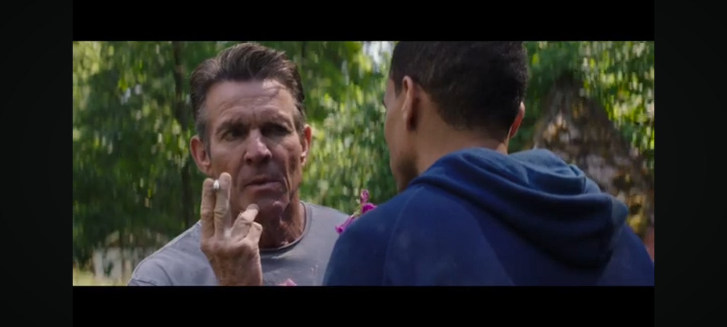 DVD : l'intrus un thriller parfait