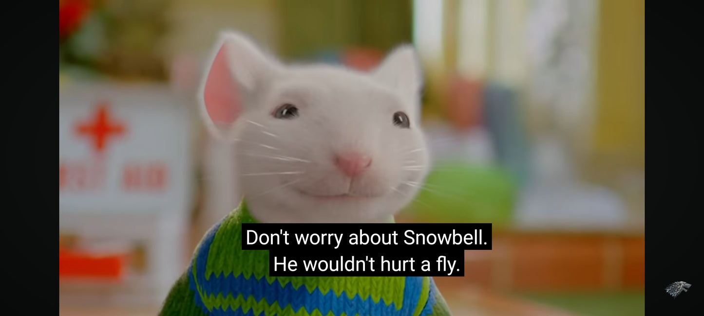 DVD : stuart little 2