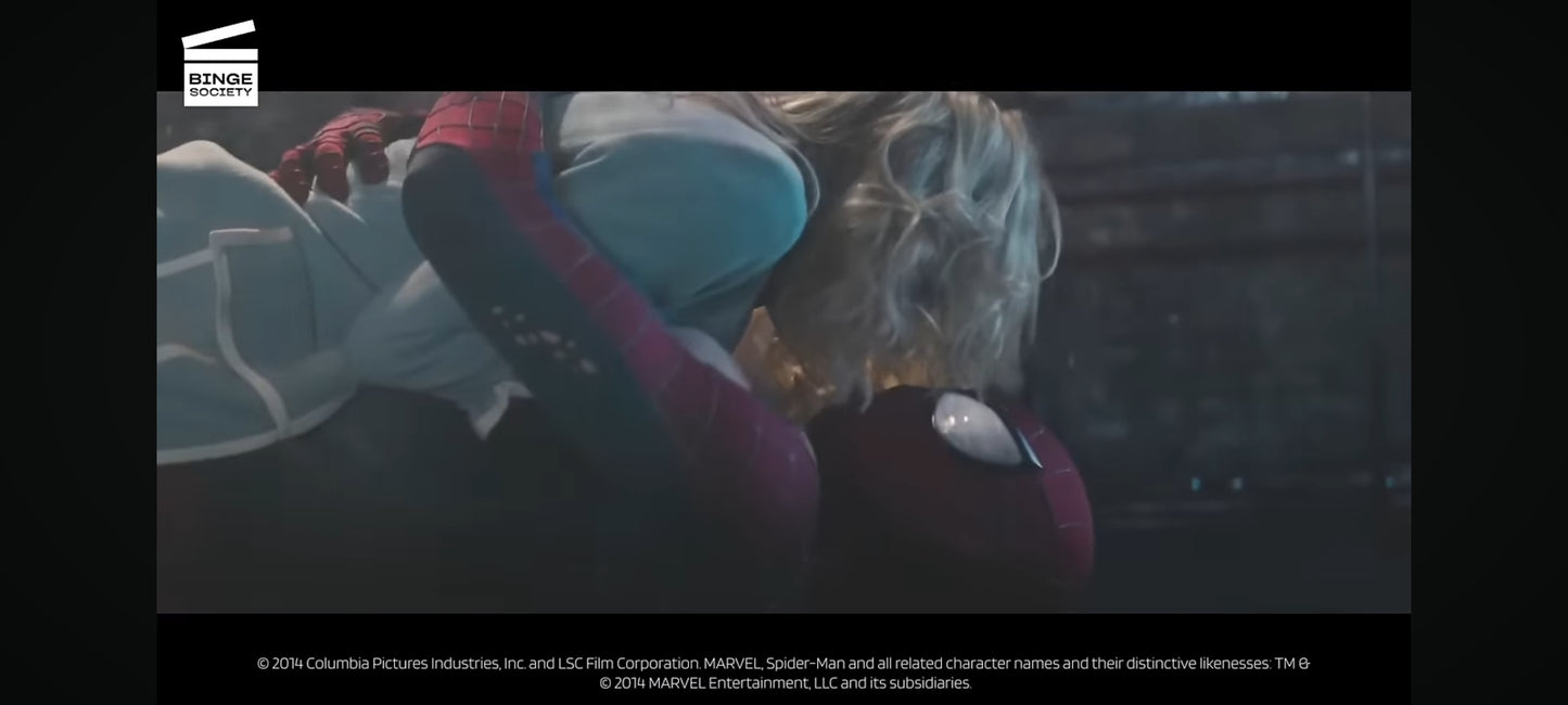 DVD : the amazing spider-man le destin d'un héros en