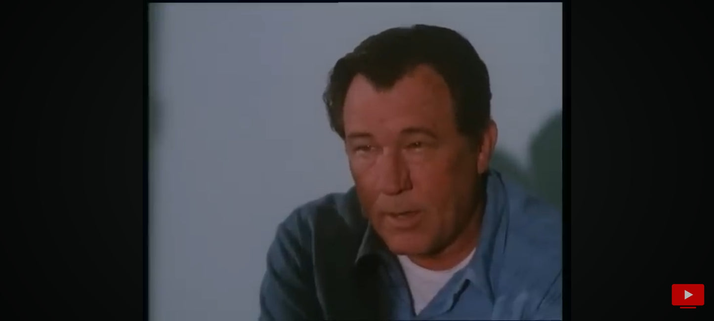 DVD : Criminel attitude