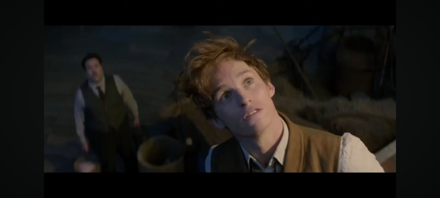 DVD : les animaux fantastiques 3D