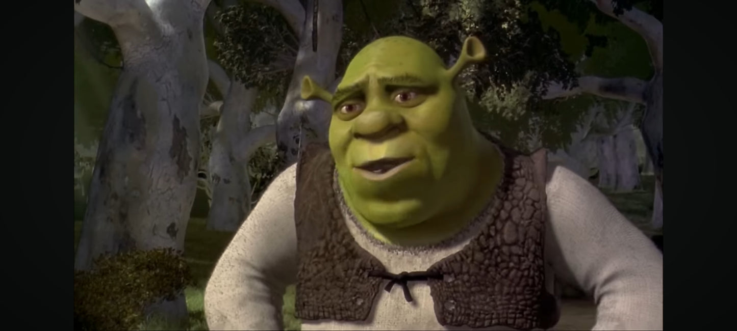 shrek DVD vendu en Bon état