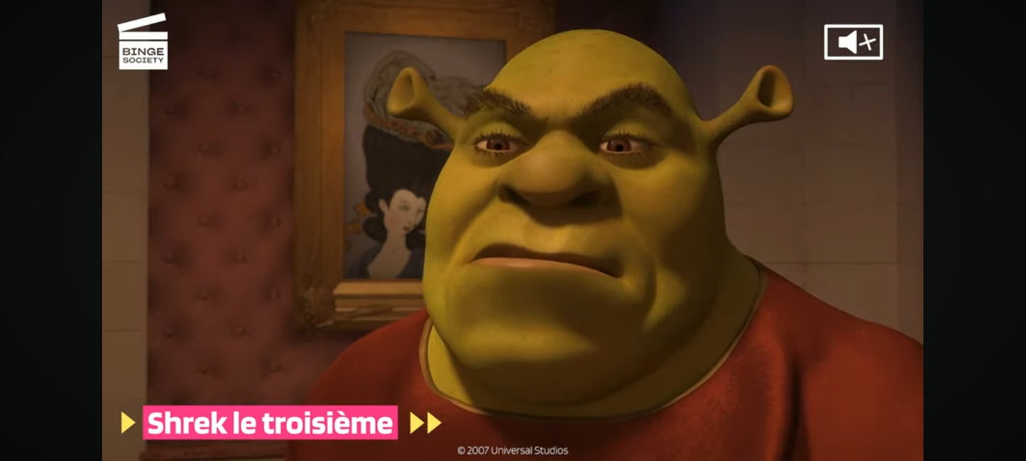 shrek le troisième film complet en français DVD vendu en Bon état Par blaspo