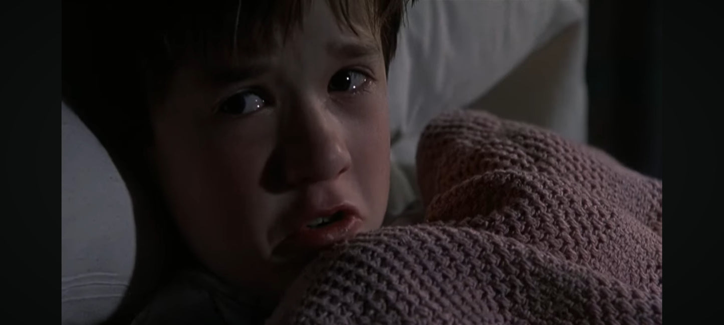 DVD : the sixth sense en