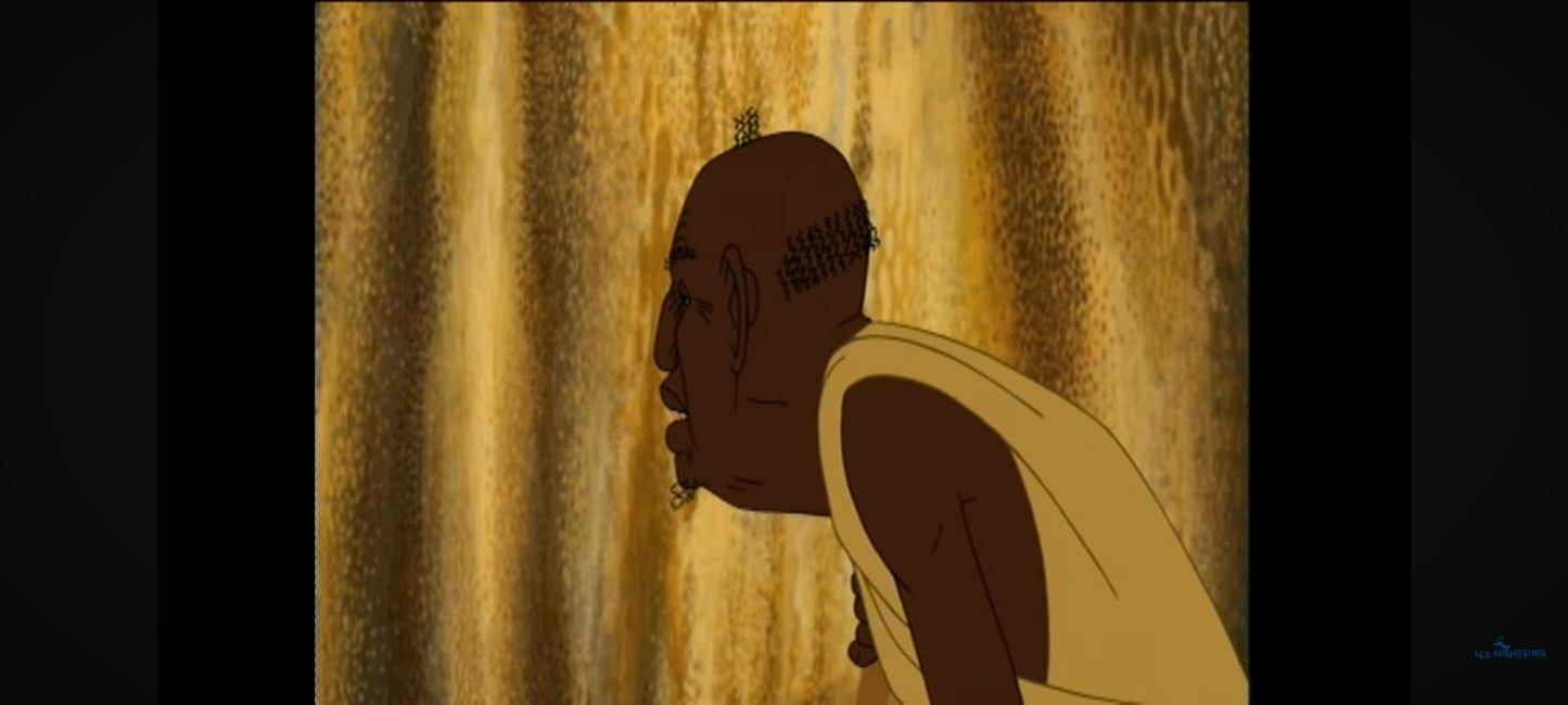 kirikou et les bêtes sauvages DVD vendu en Bon état Par blaspo