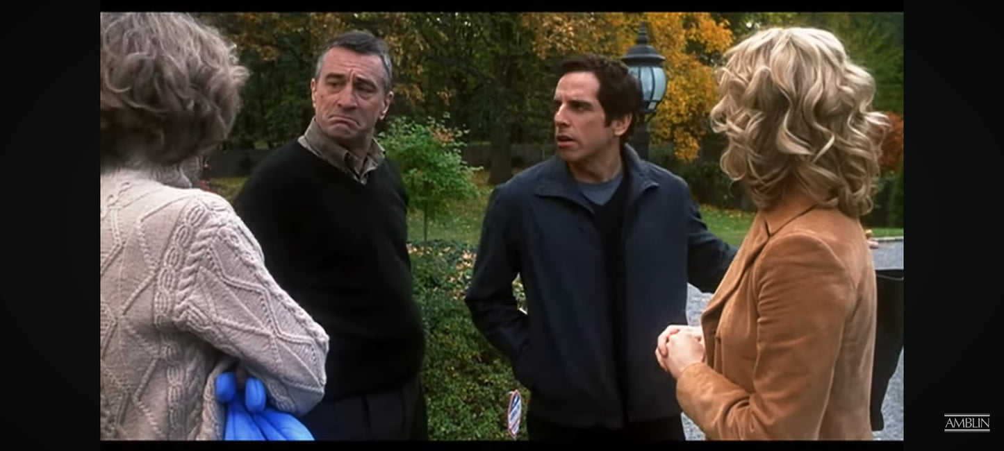 meet the parents DVD