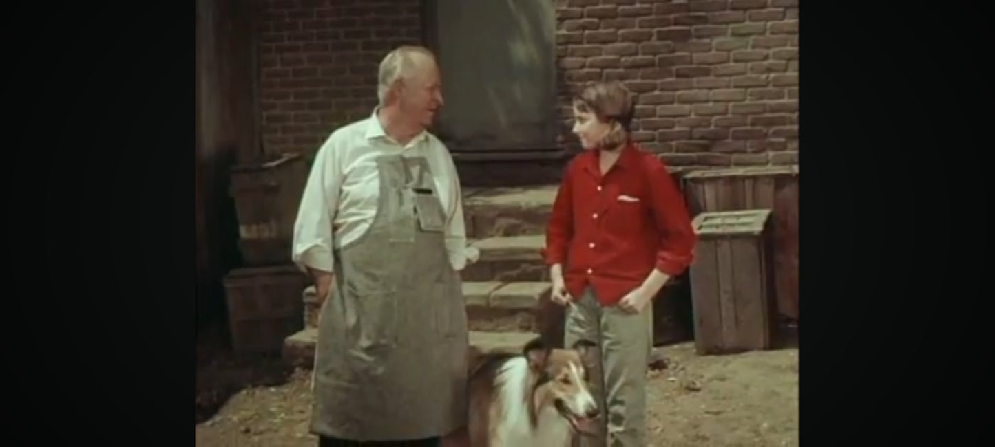 les aventures de lassie au voleur! le petit chien perdu DVD