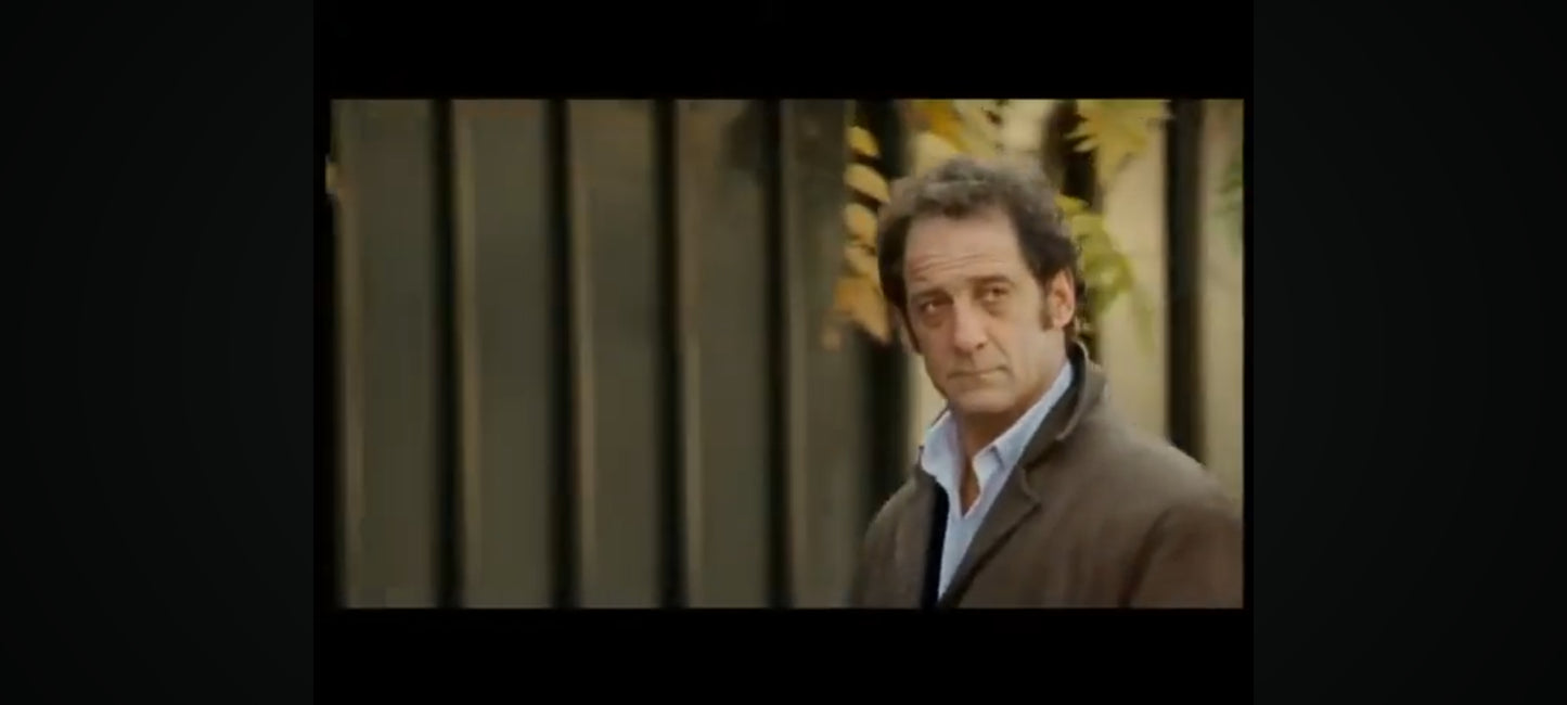 Mes amis mes amours DVD