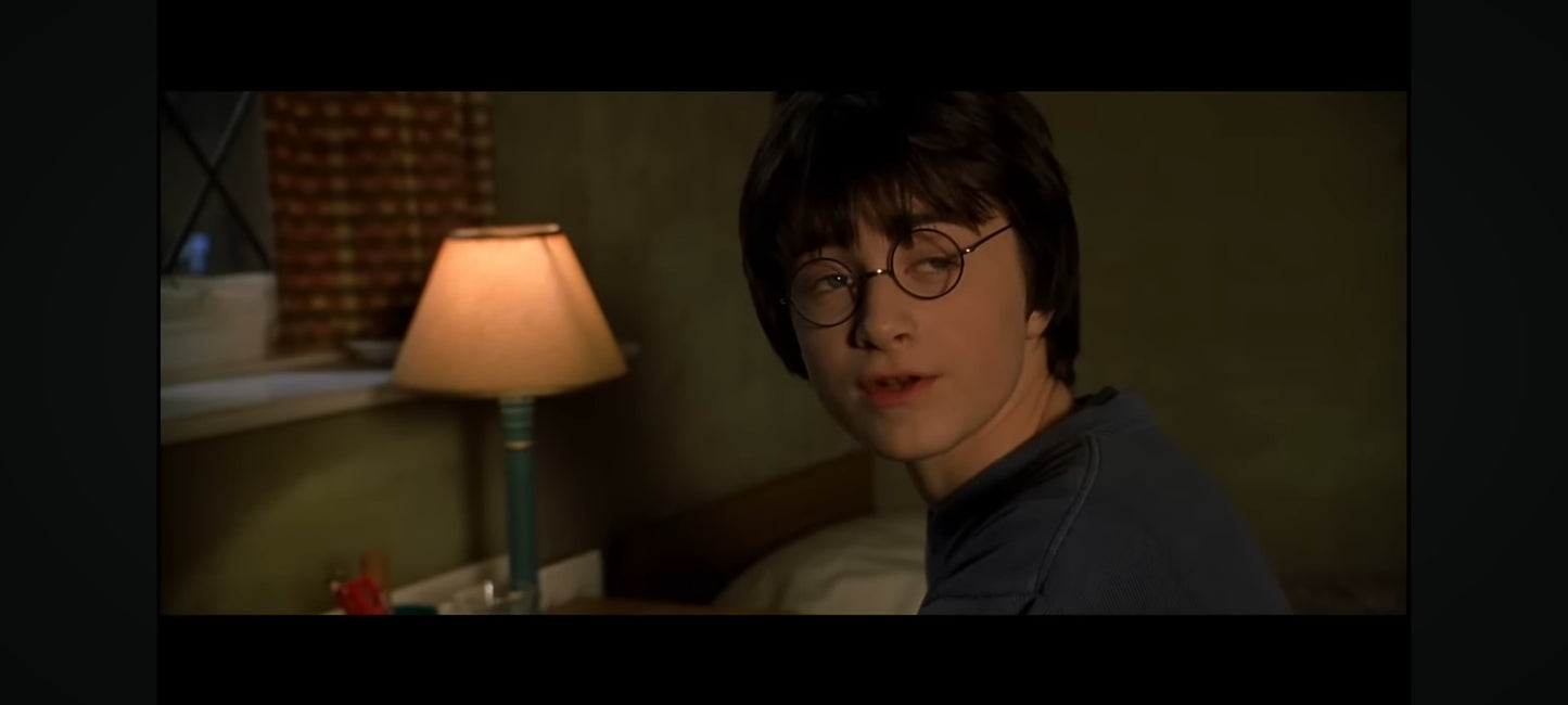 harry potter et la chambre des secrets DVD