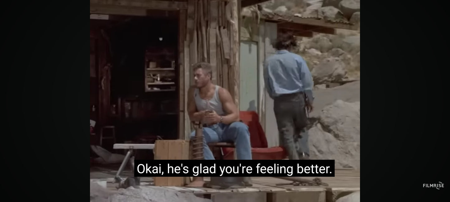 jean claude van damme inferno film complet en francais DVD état Par