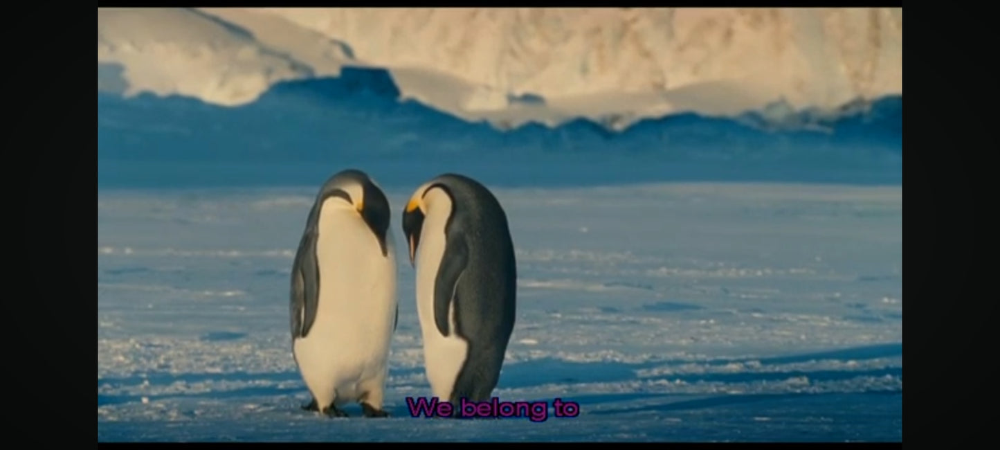 DVD la marche de l'empereur