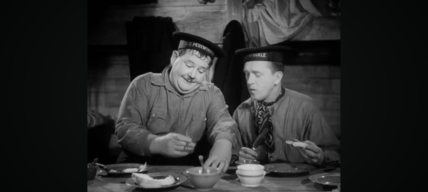 DVD laurel et hardy c'est donc ton frere