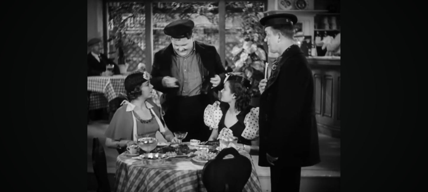 DVD laurel et hardy c'est donc ton frere