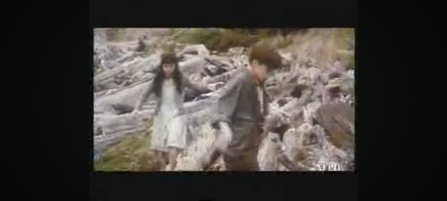 DVD la neige tombait sur les cèdres