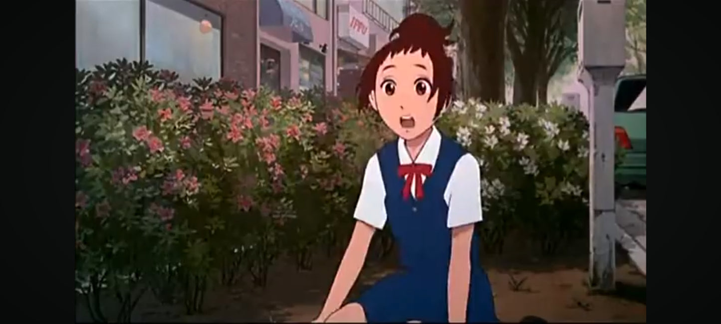 DVD le royaume des chats film complet en français