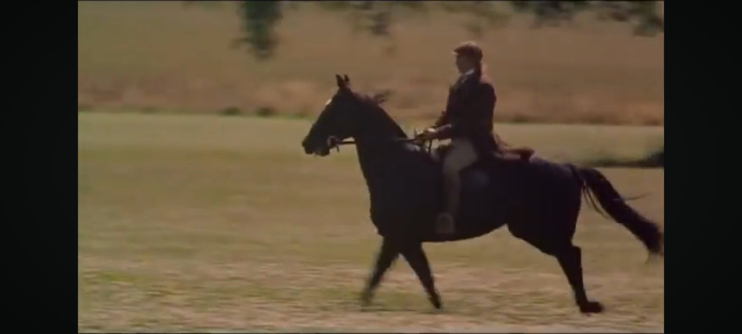 DVD les aventures de prince noir " la plus merveilleuse aventure entre l'homme et le cheval saison 2 épisode 13