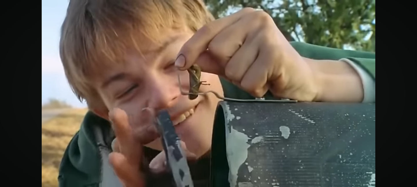 Dvd What's Eating Gilbert Grape