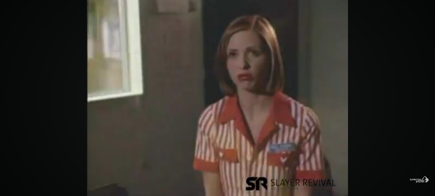 DVD buffy contre les vampires saison 6 épisodes 12 13 14 et15