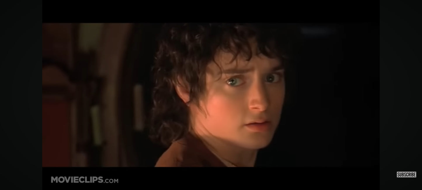 DVD The lord of the rings the fellowship of the ring