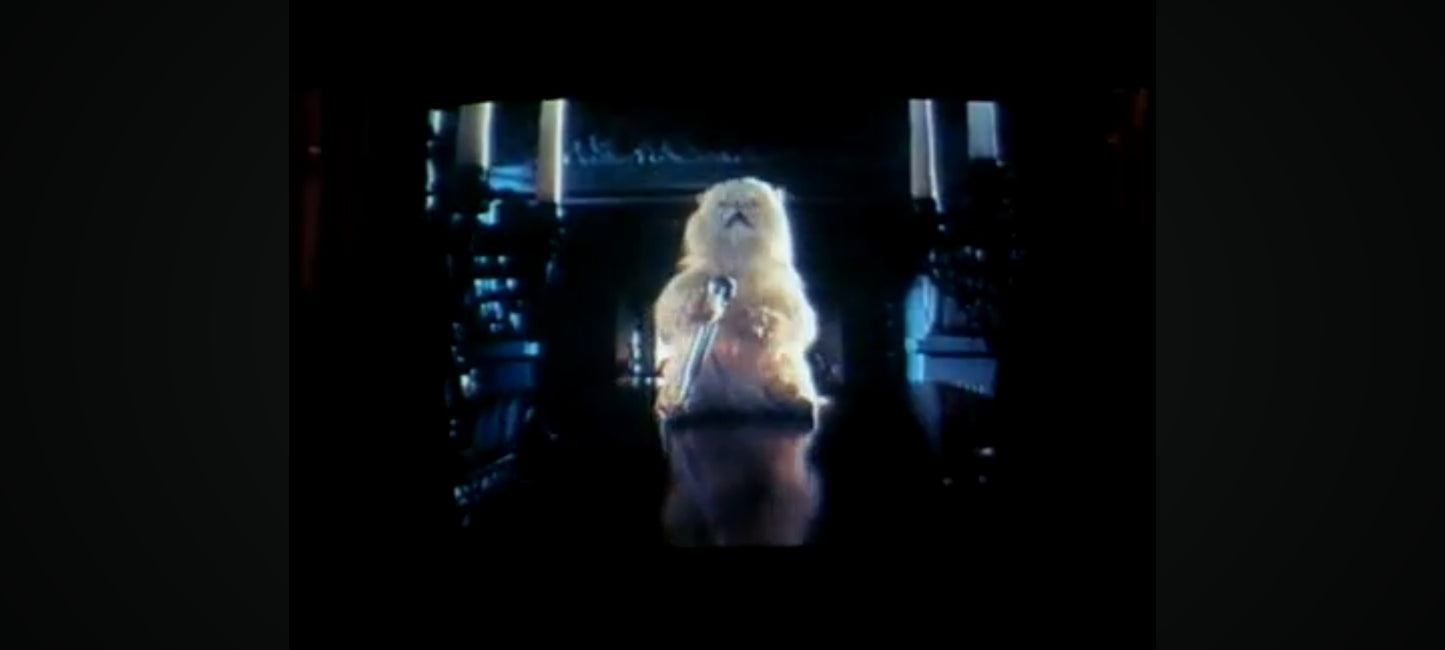 DVD comme chien et chat film complet en francais