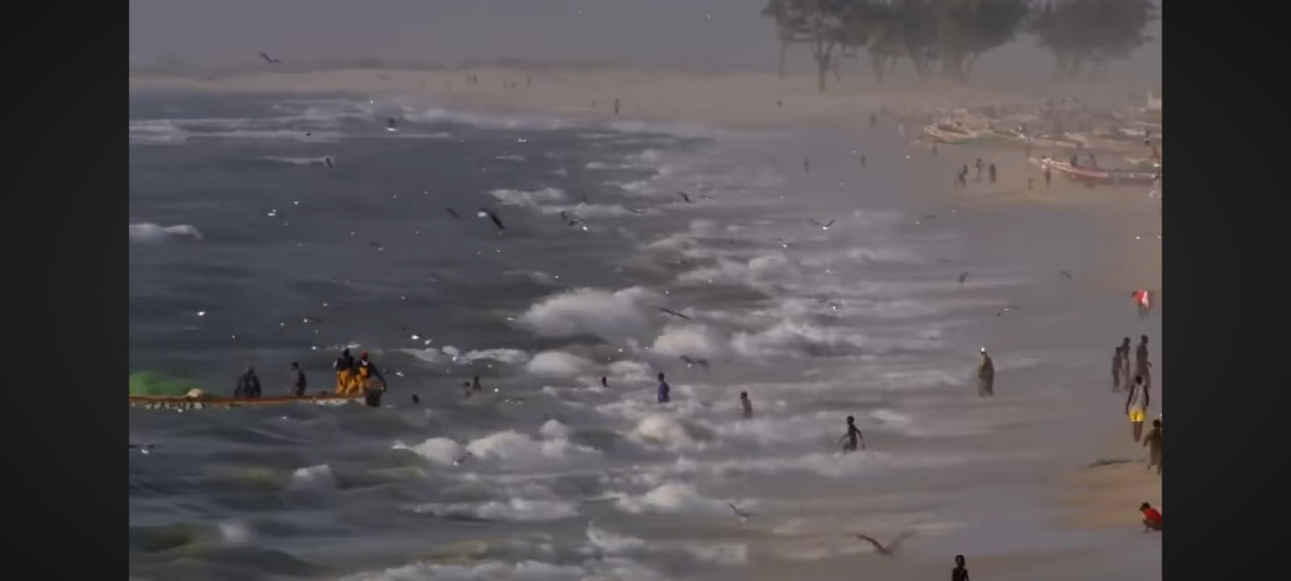 DVD Home – Film documentaire de Yann Arthus-Bertrand – Version cinéma – Français Dolby Digital