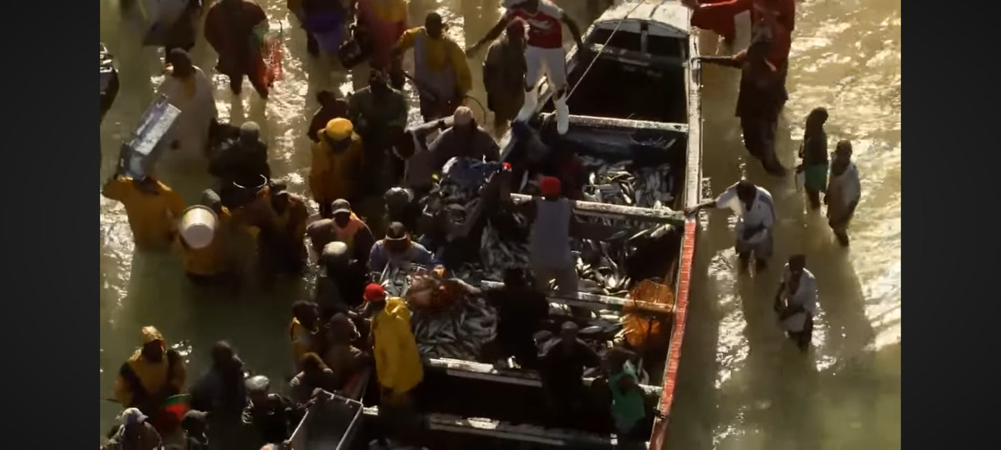 DVD Home – Film documentaire de Yann Arthus-Bertrand – Version cinéma – Français Dolby Digital