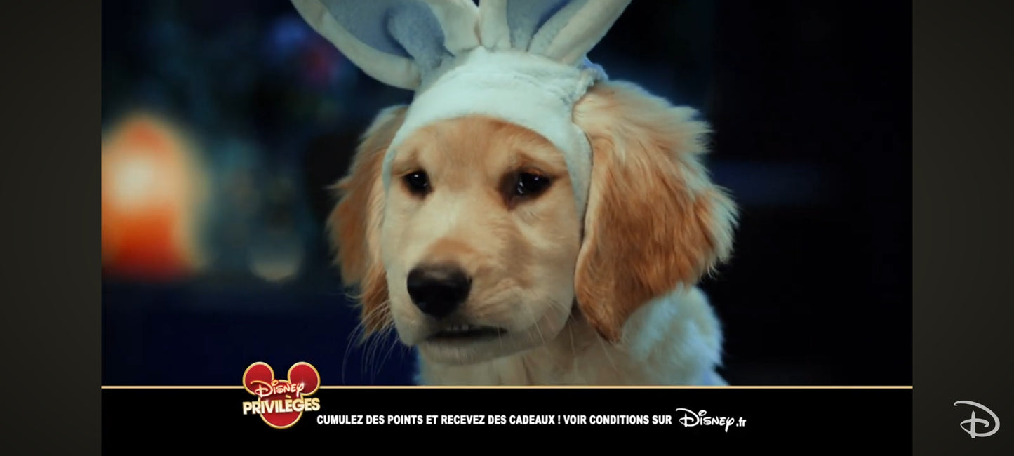 Dvd Les Copains Et La Légende Du Chien Maudit