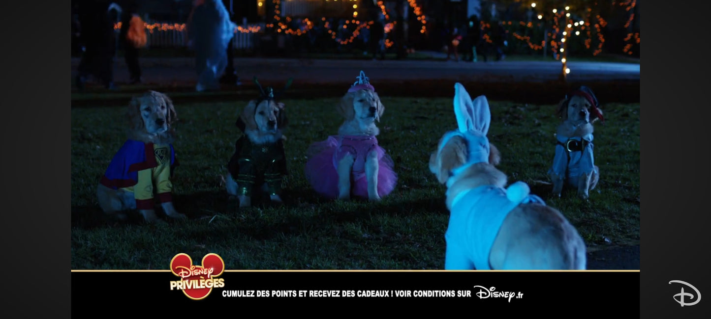 Dvd Les Copains Et La Légende Du Chien Maudit