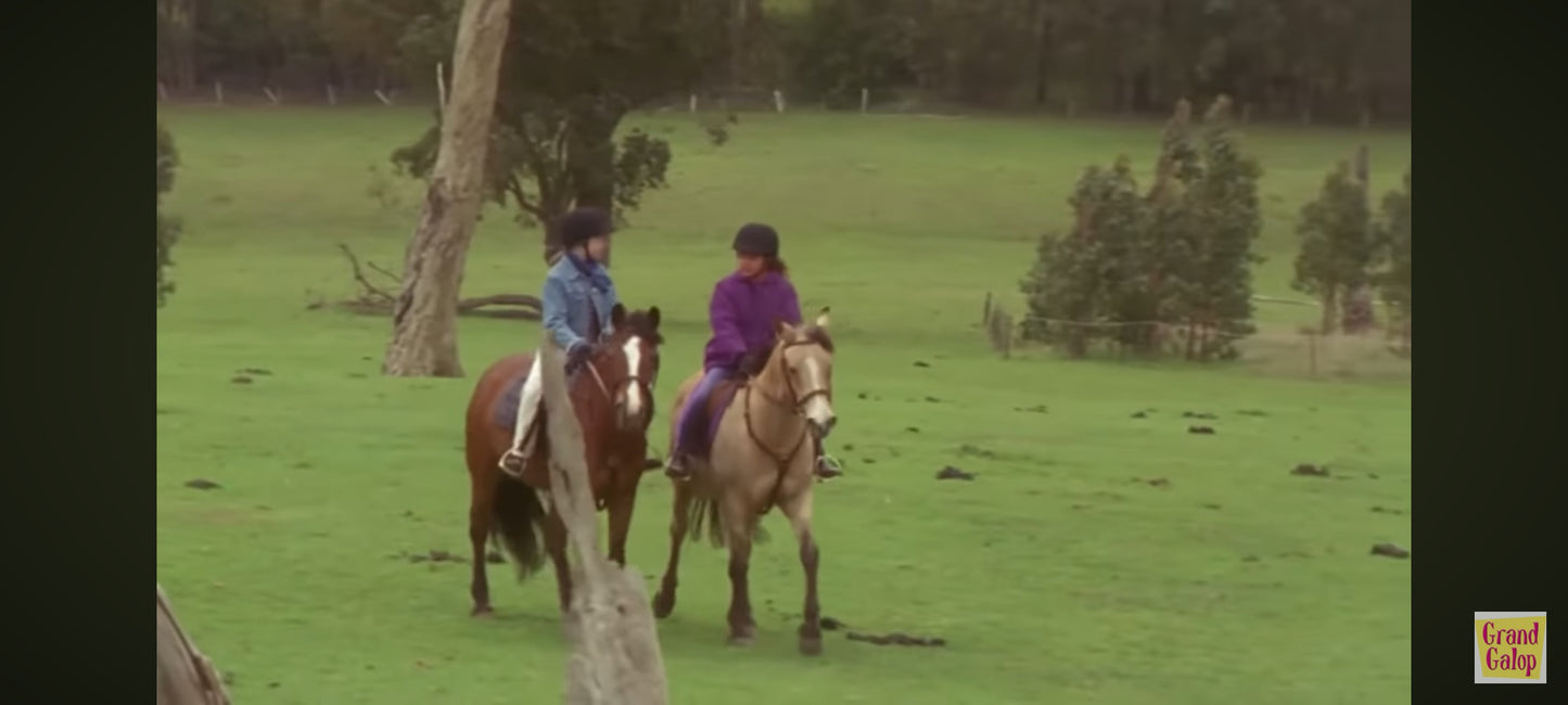 Dvd Grand Galop Saison 1 Episode 1