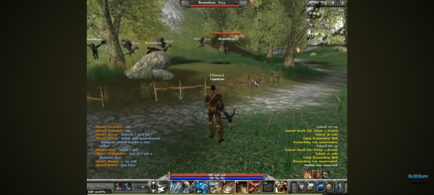 Jeu PC – ArchLord + RF Online (Codes d’activation inclus