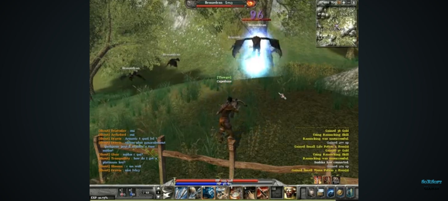 Jeu PC – ArchLord + RF Online (Codes d’activation inclus