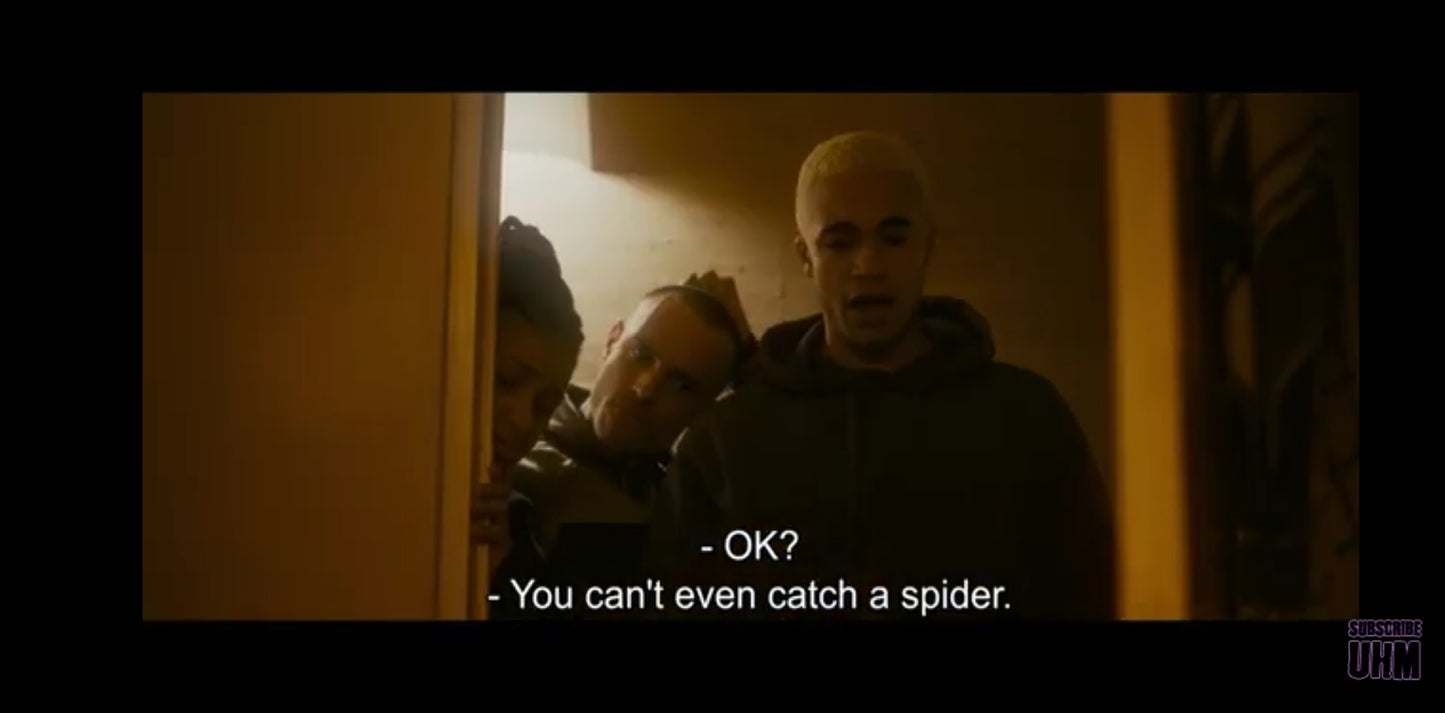 DVD : Infested l'invasion des insectes